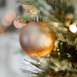 (article.img|metadata).title