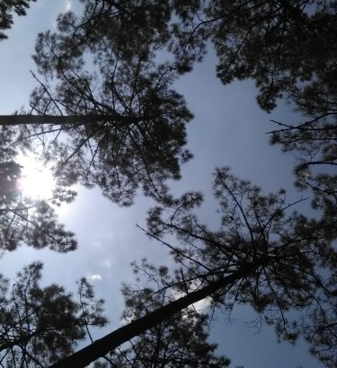 (post.img|metadata).title