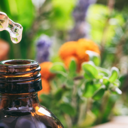 (article.img|metadata).title