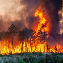 (relarticle.img|metadata).title