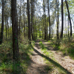 (relarticle.img|metadata).title