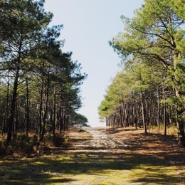 (relarticle.img|metadata).title