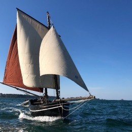 (article.img|metadata).title